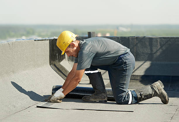 Best Insulation Installation Services in Mayer, AZ