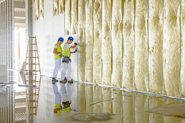 Best Residential Insulation in Mayer, AZ